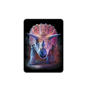 Obrázek z Magnet 3D 7x9cm - triceratops (25) 